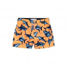 KB BOARD 28J: Boys Orange Shark Board Shorts (3-8 Years)